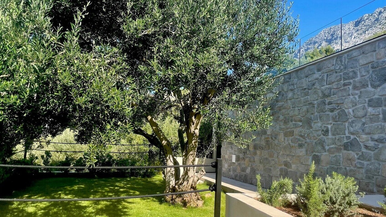 Photo of Outdoor in Medici