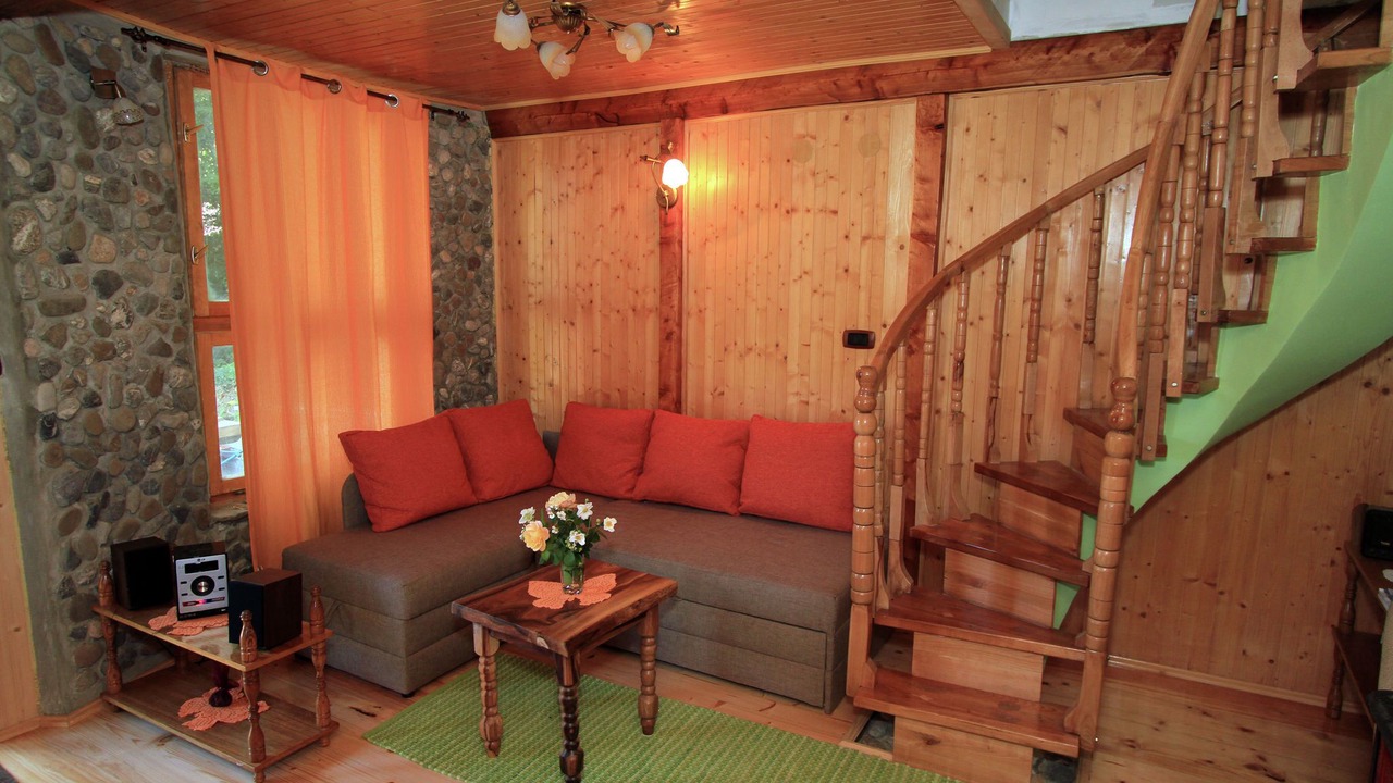 Photo of Livingroom in Brod na Kupi