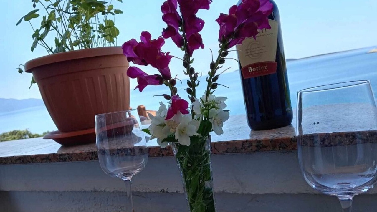 Photo of Outdoor in Martinscica