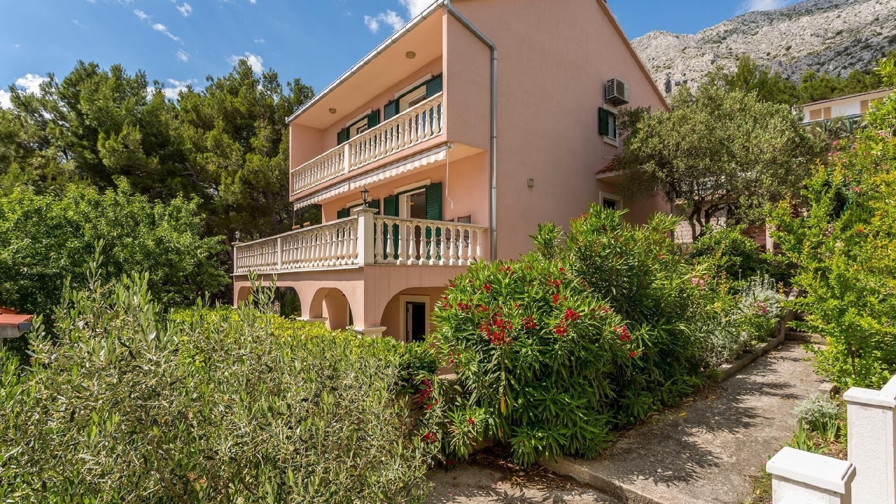 Photo of Outdoor in Medici