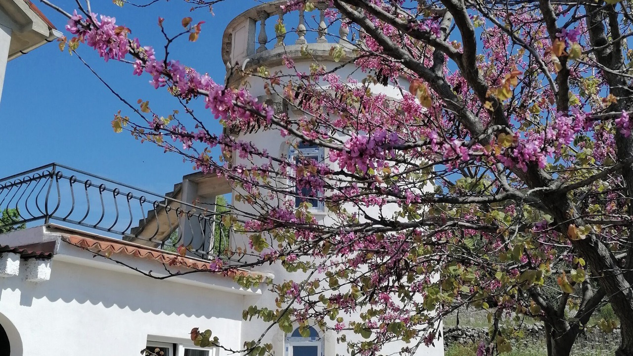 Photo of Outdoor in Koromacno