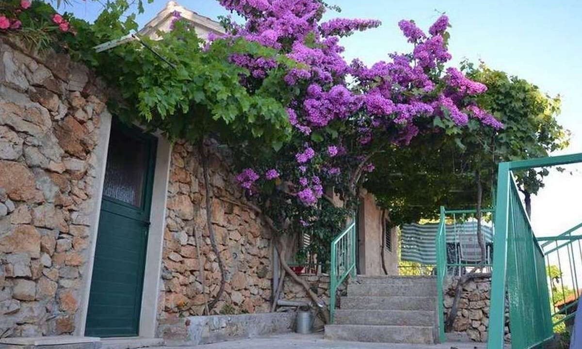 Photo of Outdoor in Murvica