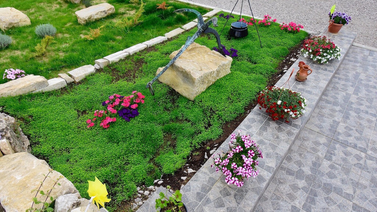 Photo of Others in Gradinje