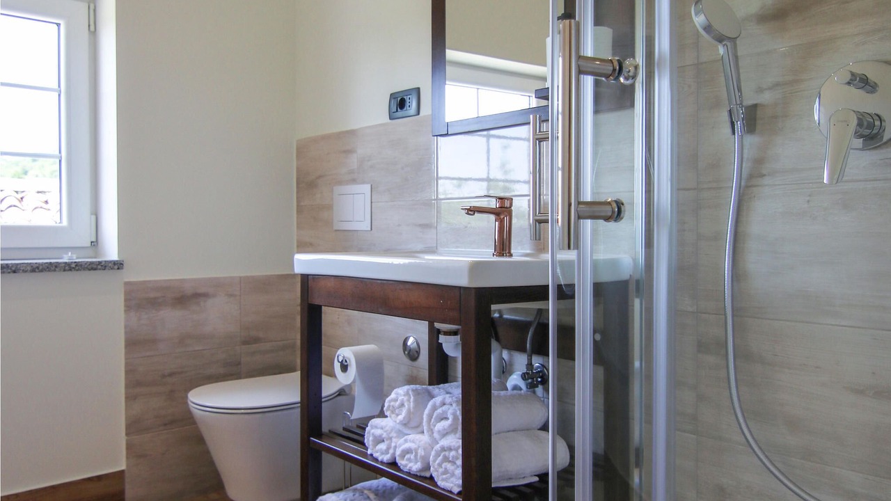 Photo of Bathroom in Veprinac