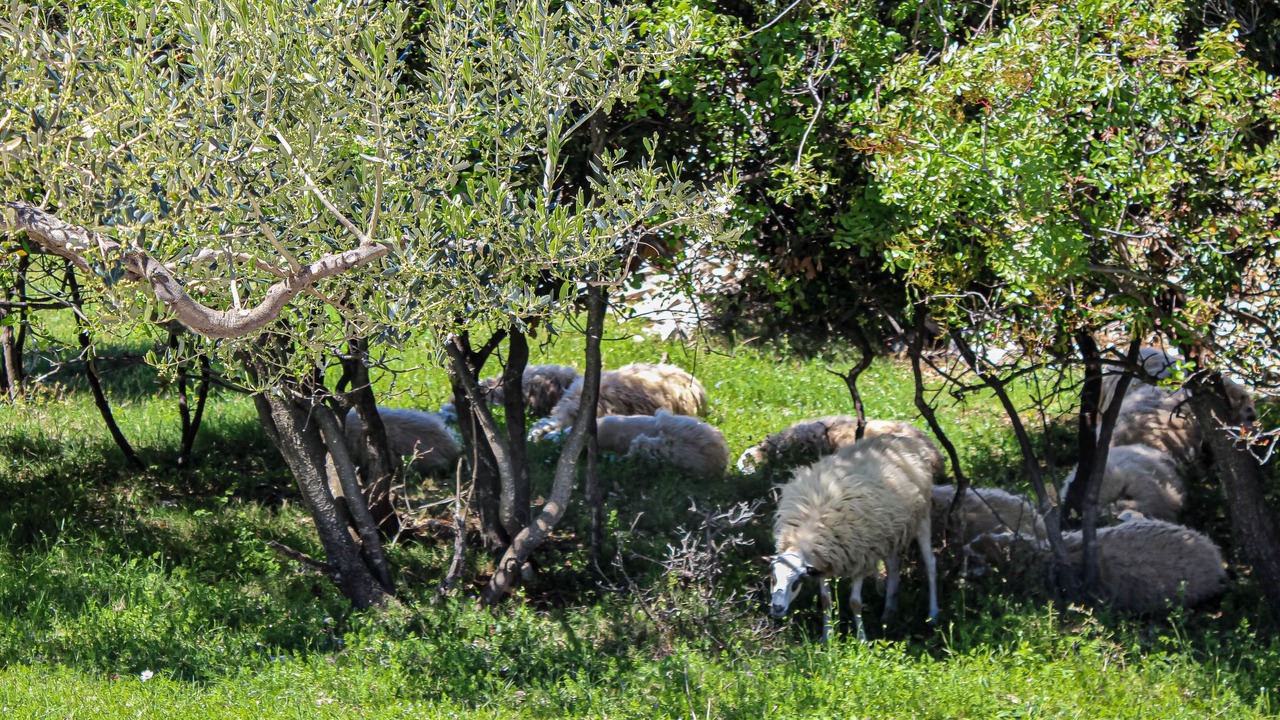 Photo of Outdoor in Praznica