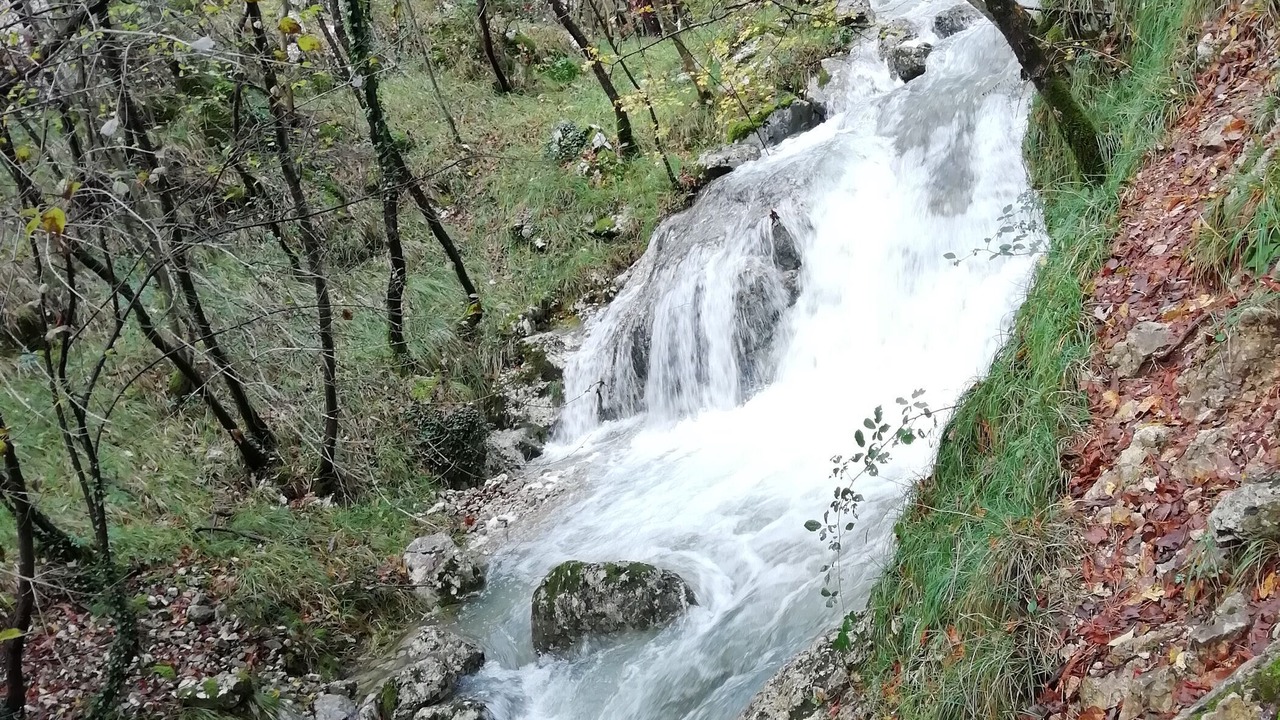 Photo of Others in Lovran