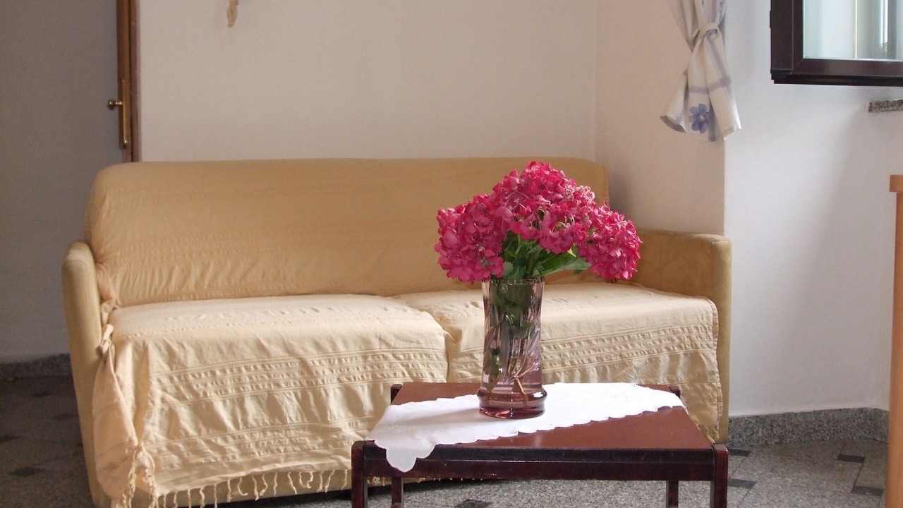 Photo of Livingroom in Ika