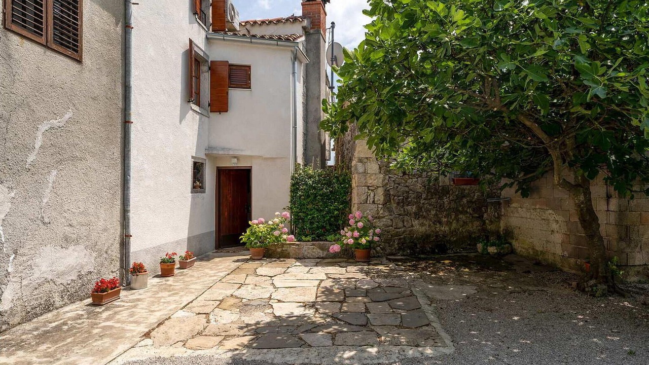 Photo of Others in Buzet