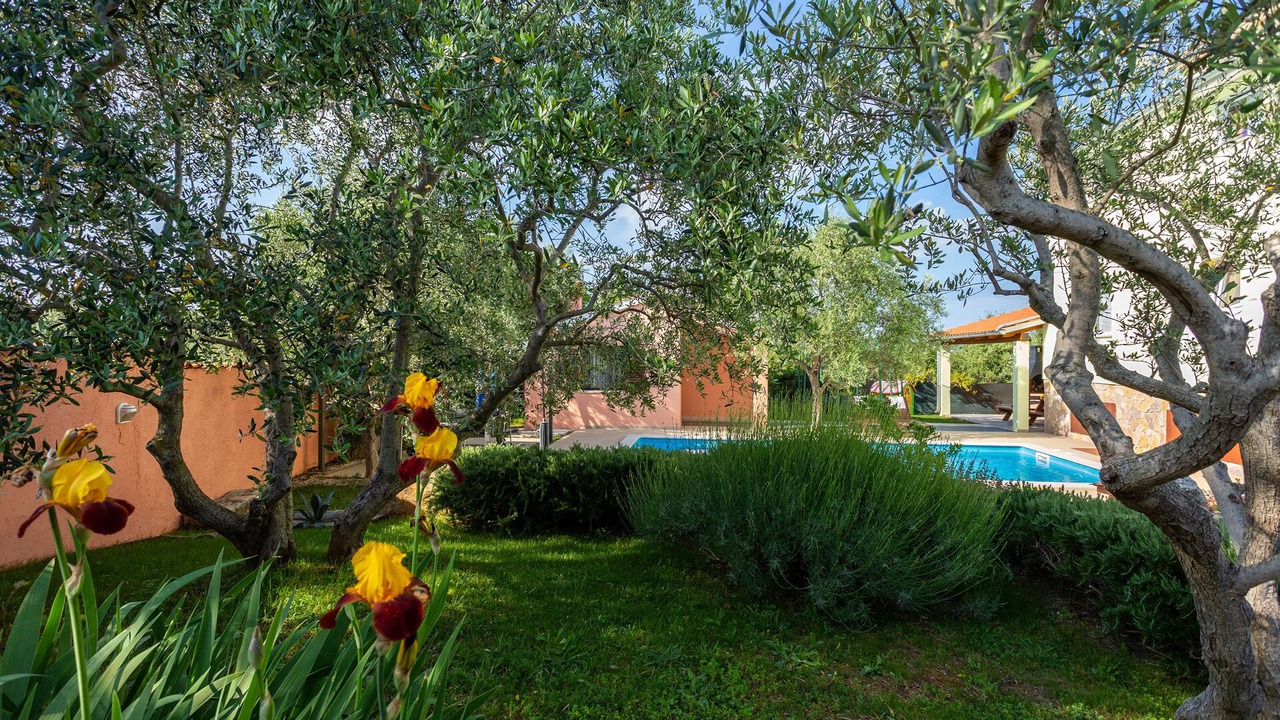 Photo of Outdoor in Mali Vareski