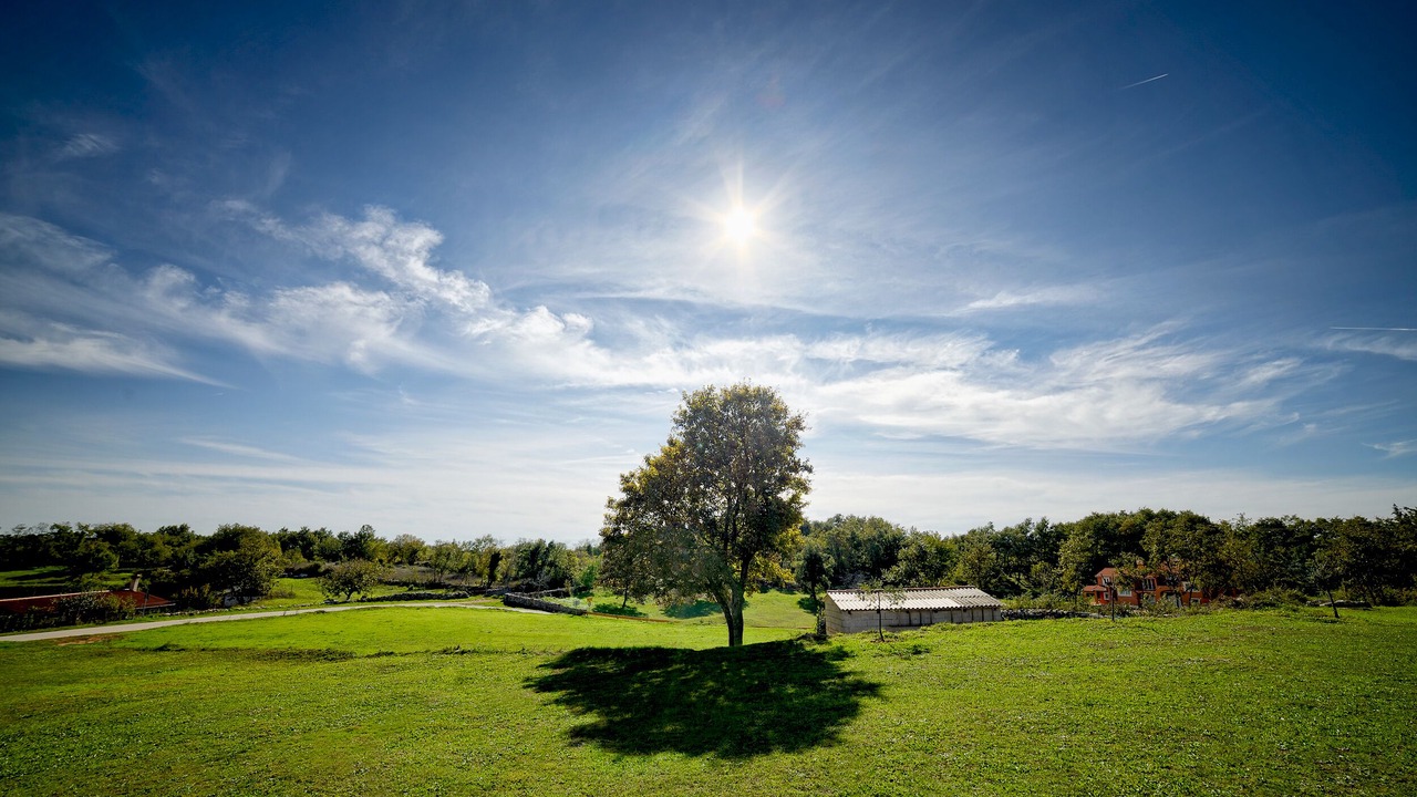 Photo of Others in Orbanici