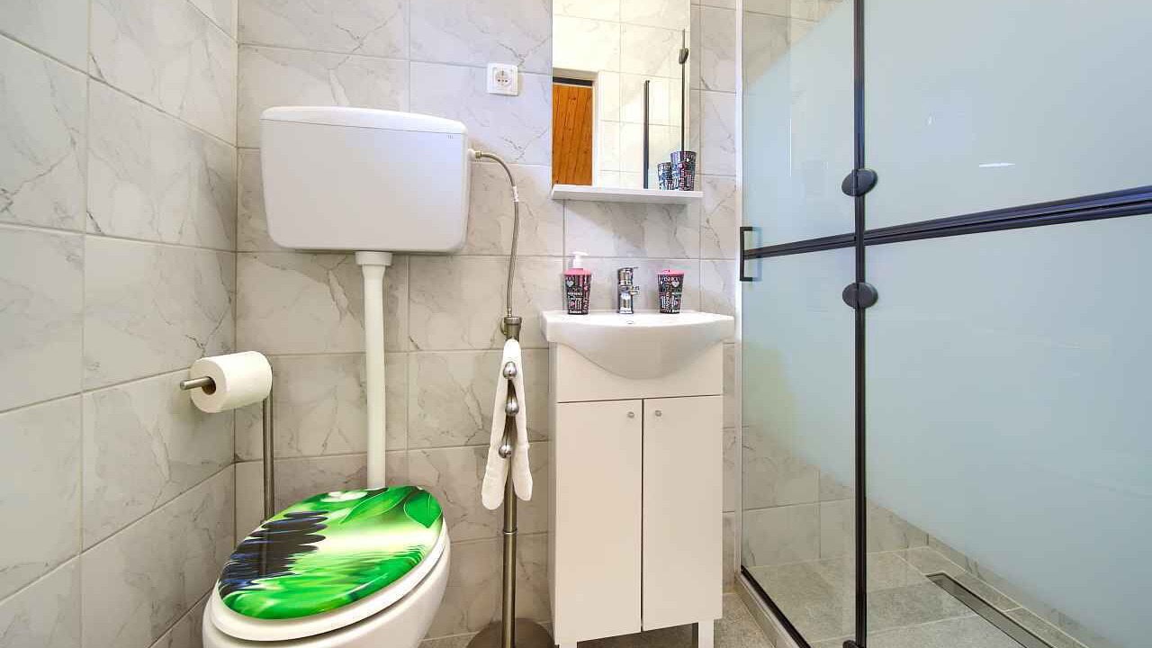 Photo of Bathroom in Milovcici