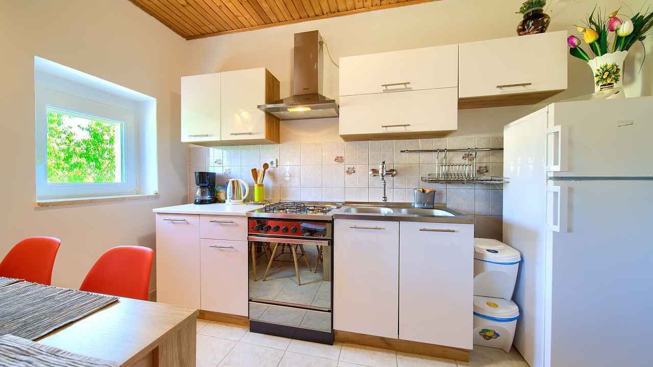 Photo of Kitchen in Milovcici