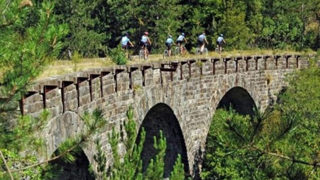 Photo of Others in Cepic