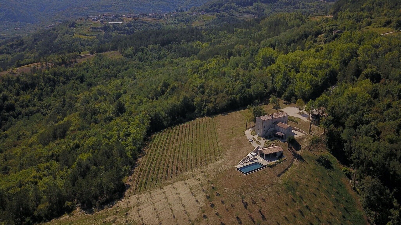 Photo of Others in Motovun