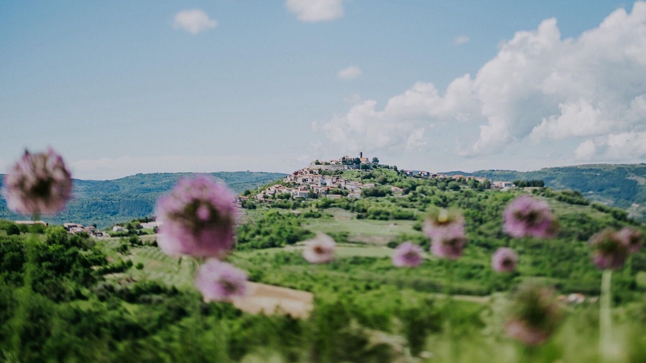 Photo of Bedroom in Motovun