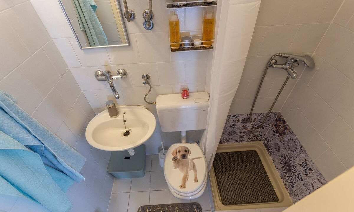 Photo of Bathroom in Vinez
