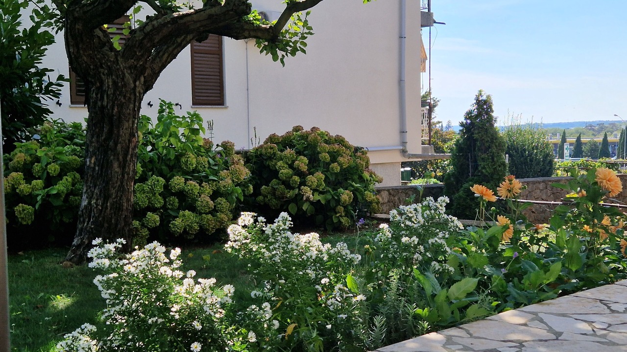 Photo of Outdoor in Strmac