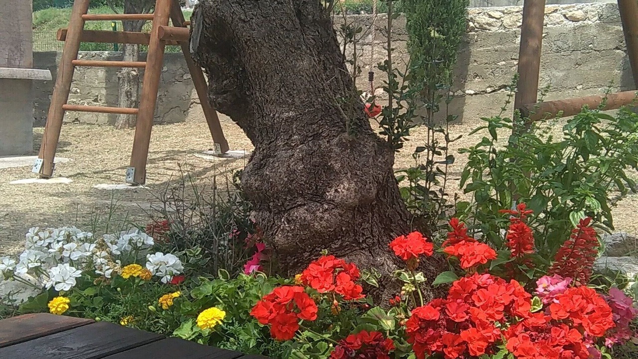 Photo of Outdoor in Lopar