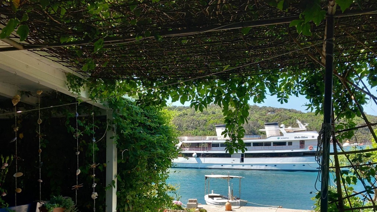 Photo of Others in Supetarska Draga
