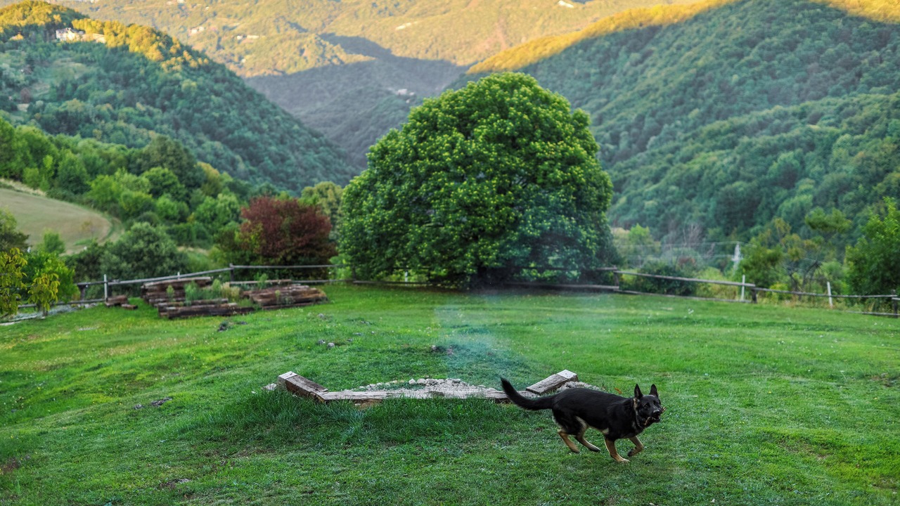 Photo of Outdoor in Breznik Plesivicki