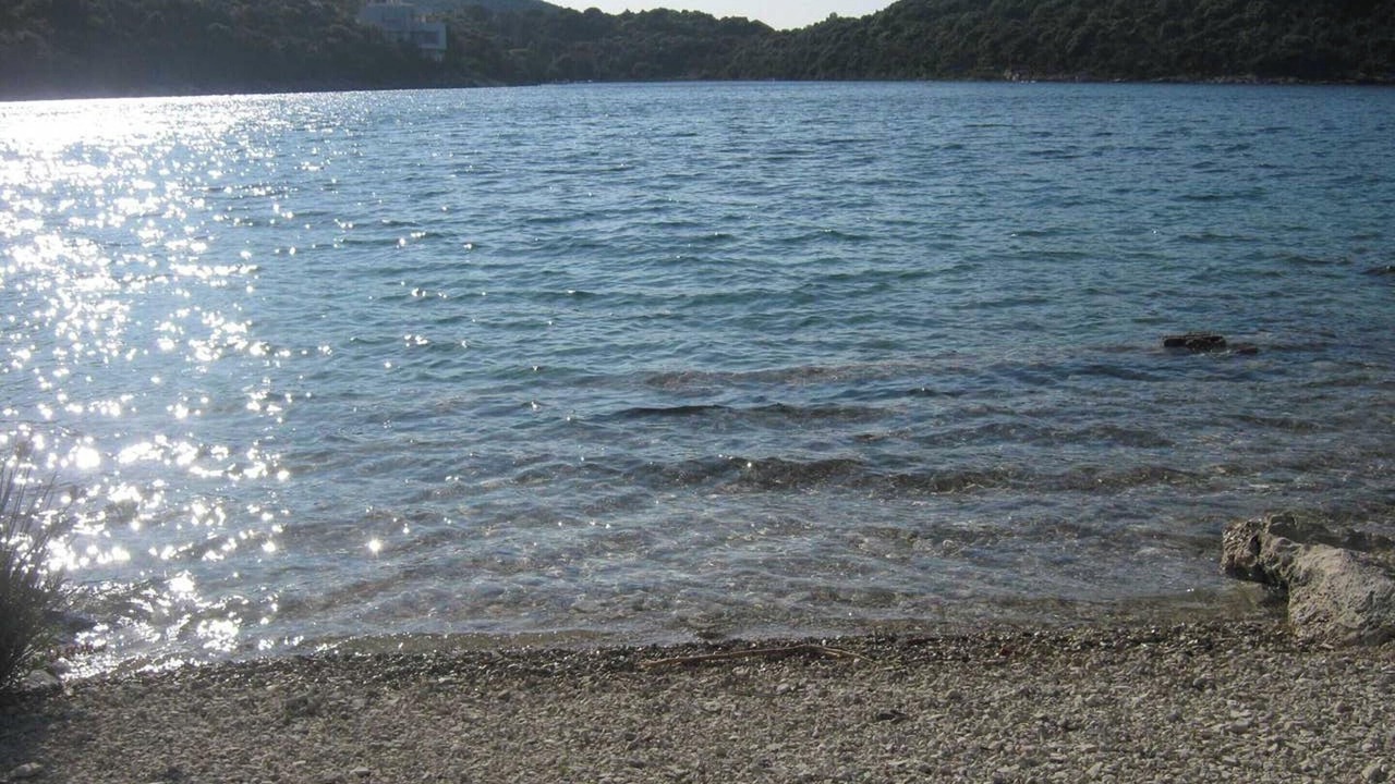 Photo of Others in Cove Tri Zala (Zrnovo)