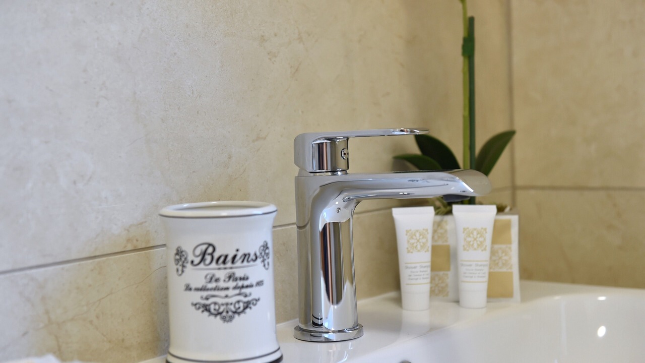 Photo of Bathroom in Brzac