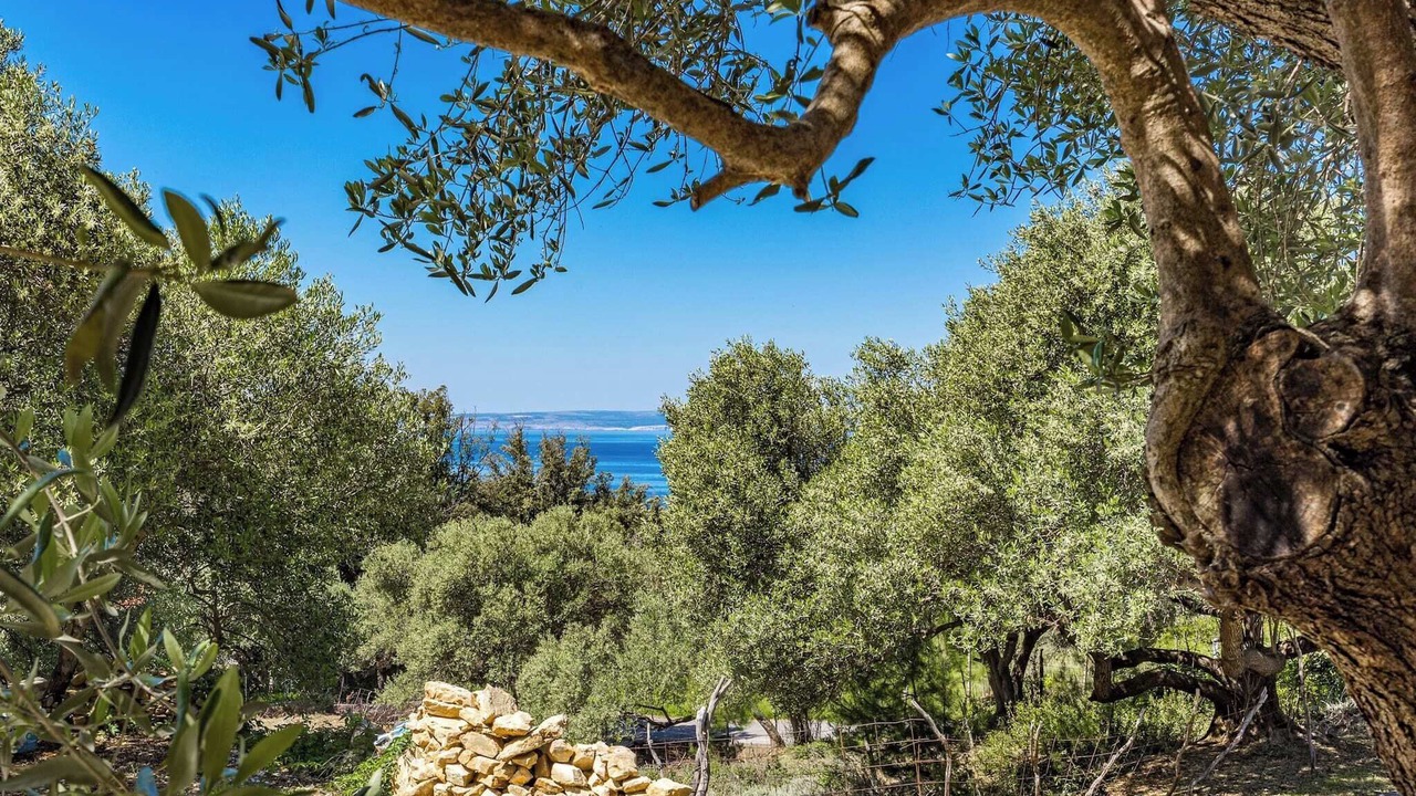Photo of Outdoor in Supetarska Draga