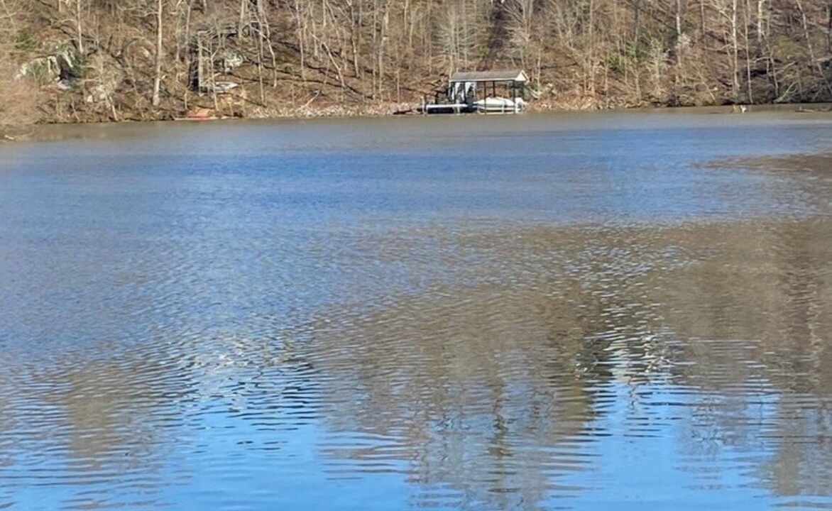 Photo of Others in Smith Mountain Lake