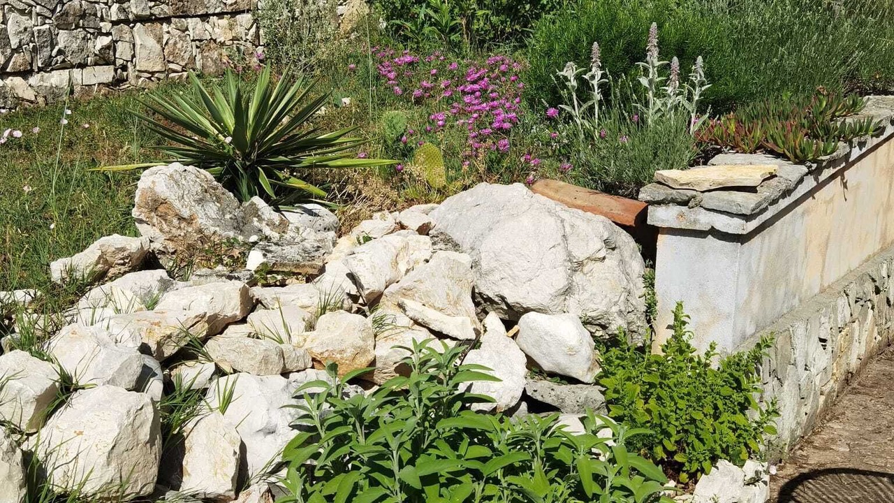 Photo of Outdoor in Ripenda Kosi