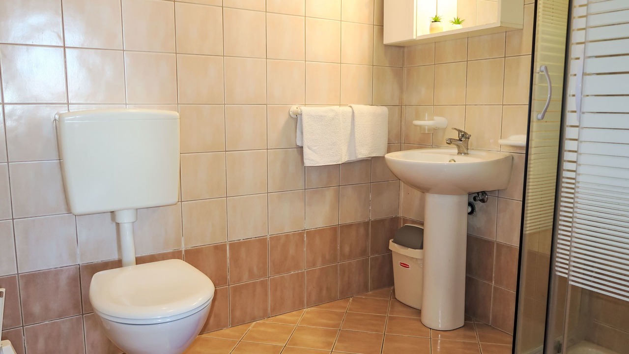 Photo of Bathroom in Drenje