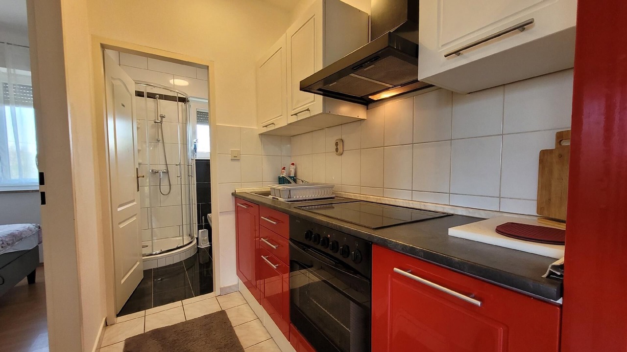 Photo of Kitchen in Milovcici