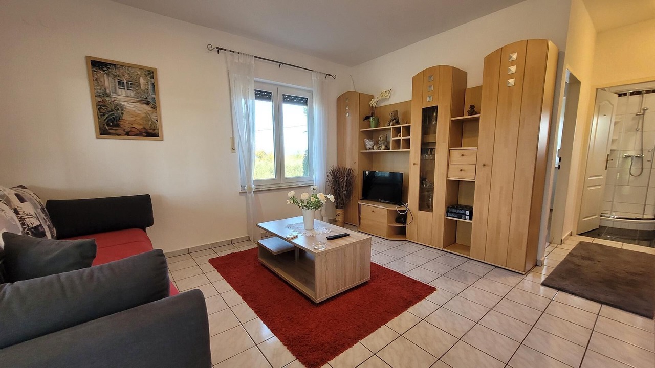 Photo of Livingroom in Milovcici