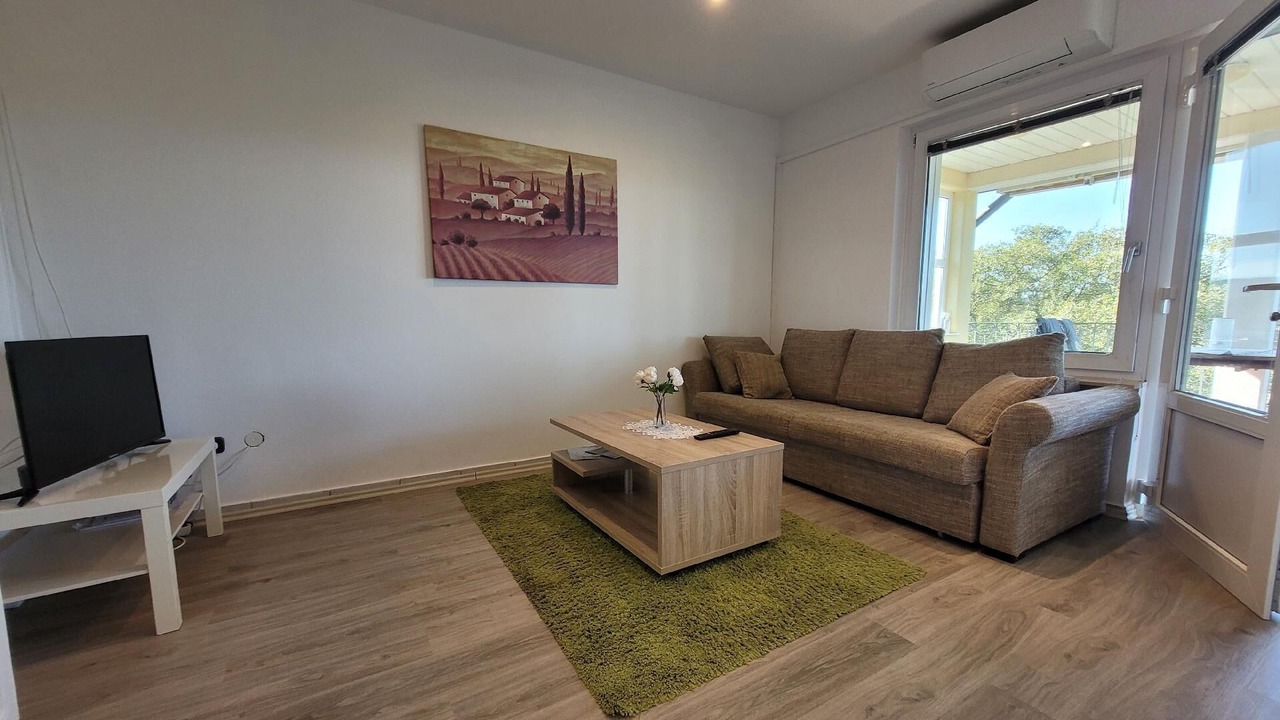Photo of Livingroom in Milovcici