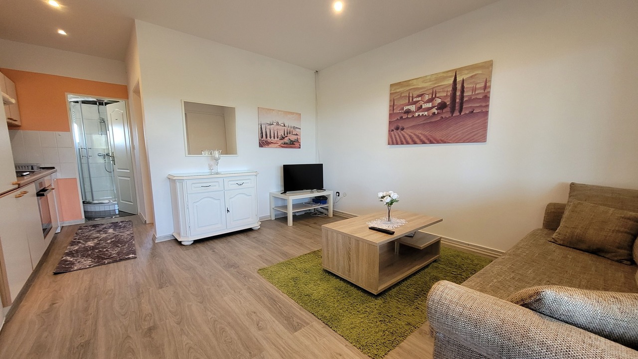 Photo of Livingroom in Milovcici