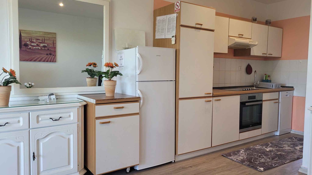 Photo of Kitchen in Milovcici
