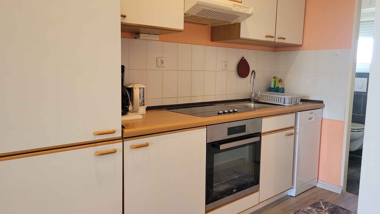 Photo of Kitchen in Milovcici
