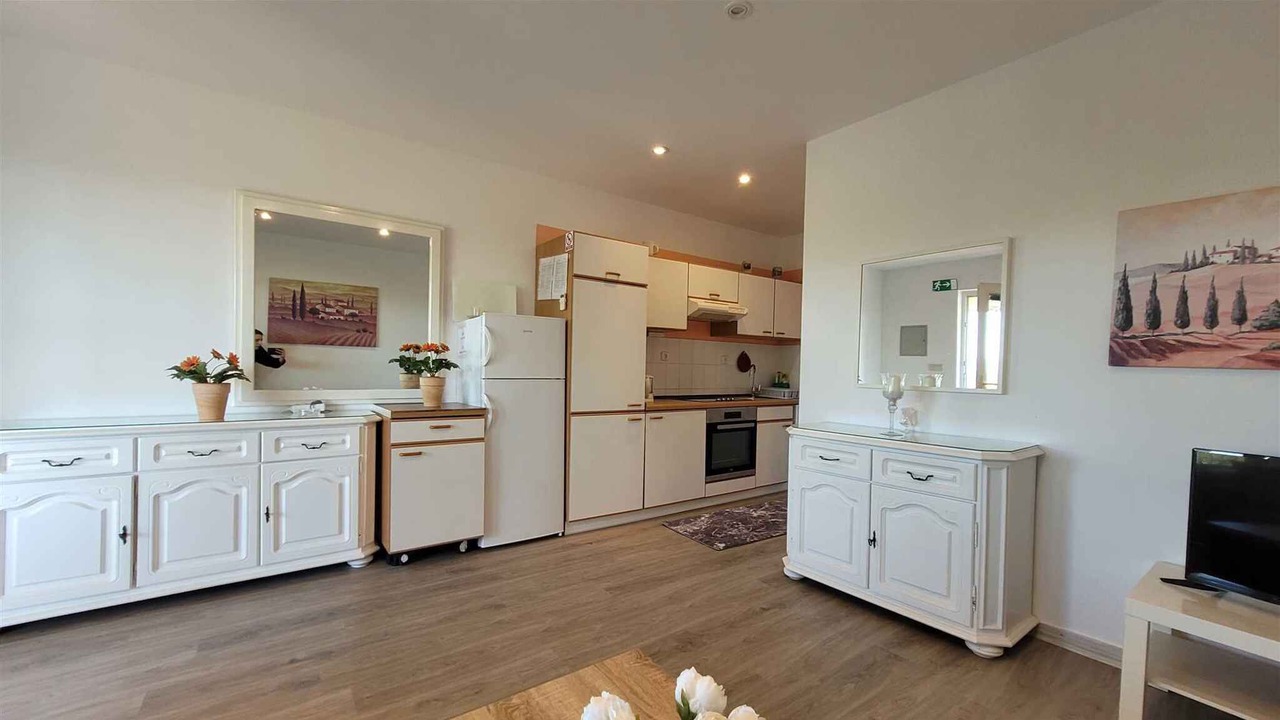 Photo of Kitchen in Milovcici
