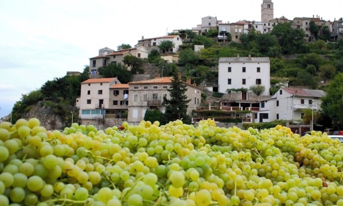 Photo of Others in Vrbnik