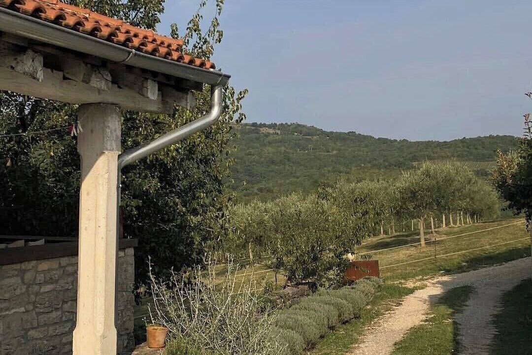Photo of Outdoor in Brkac