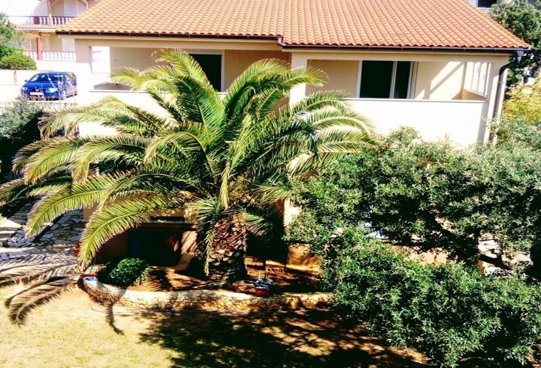 Photo of Outdoor in Mandre