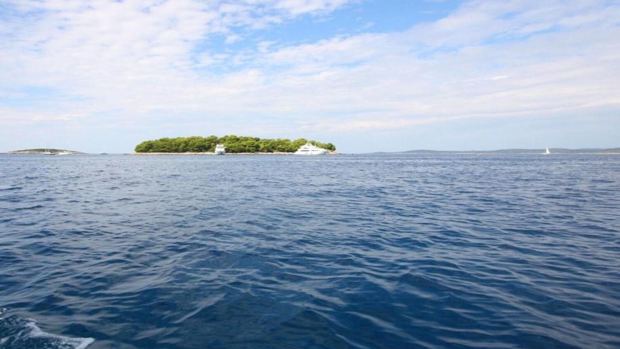 Photo of Others in Maslinica