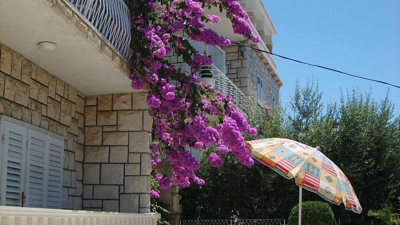 Photo of Patio Balcony in Borak