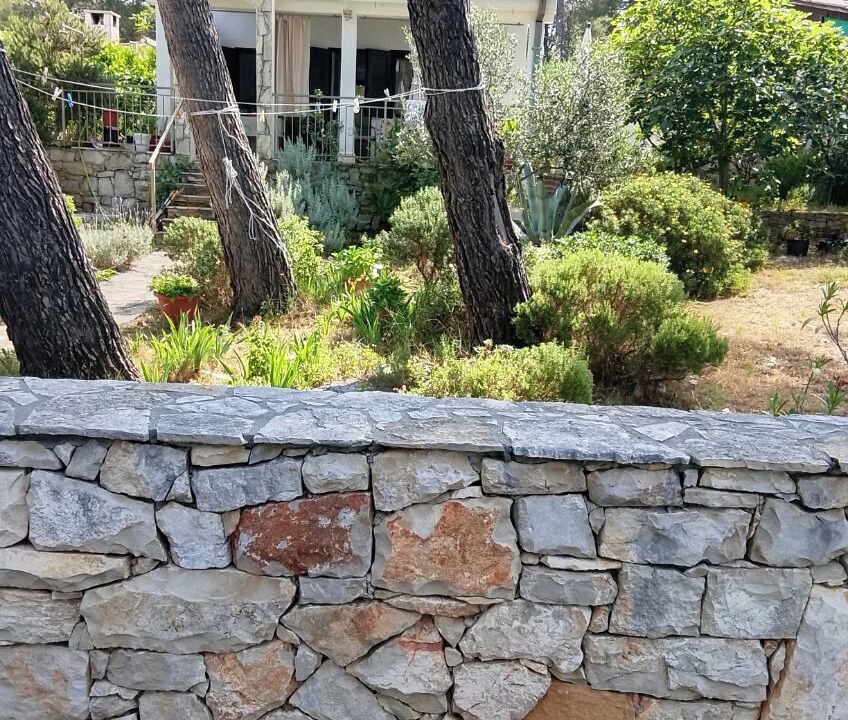 Photo of Outdoor in Maslinica