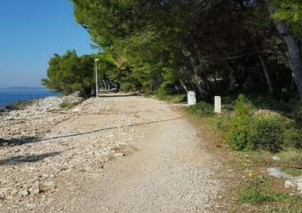 Photo of Others in Maslinica