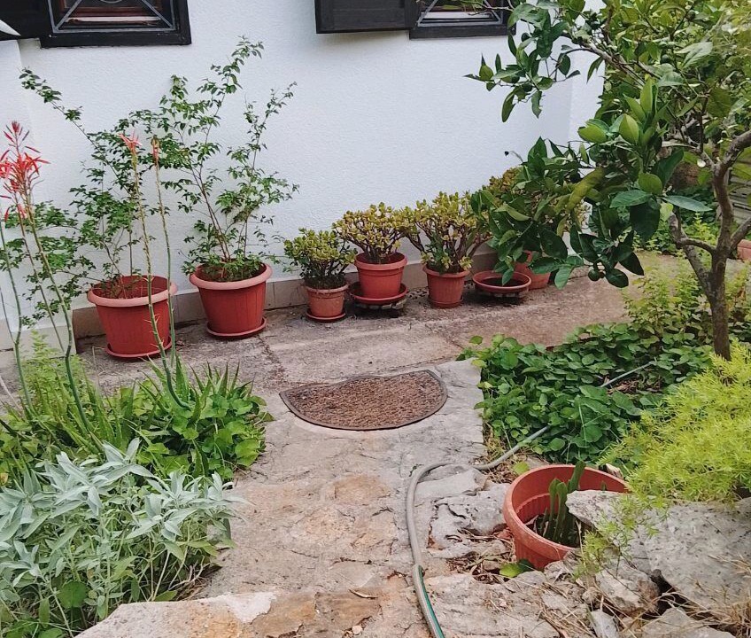 Photo of Outdoor in Maslinica