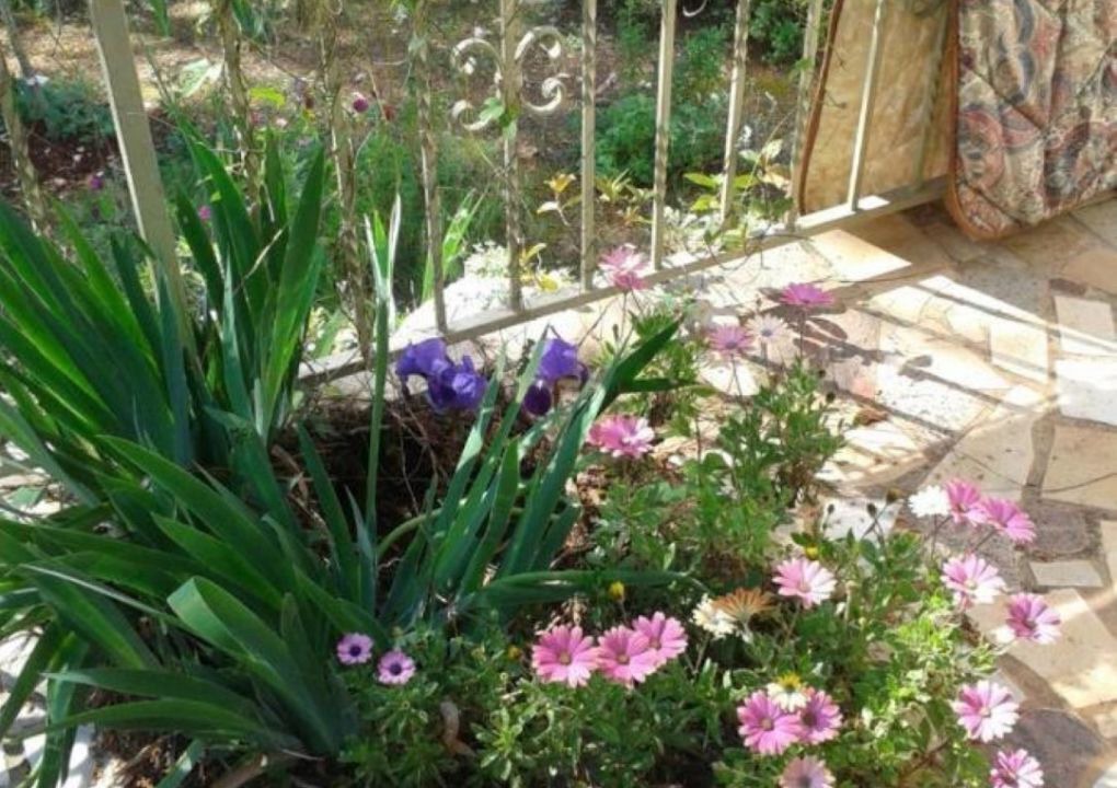 Photo of Outdoor in Maslinica