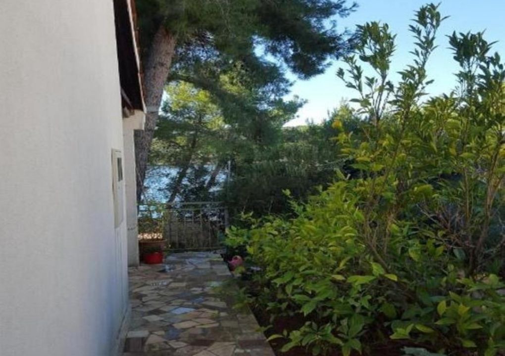 Photo of Outdoor in Maslinica