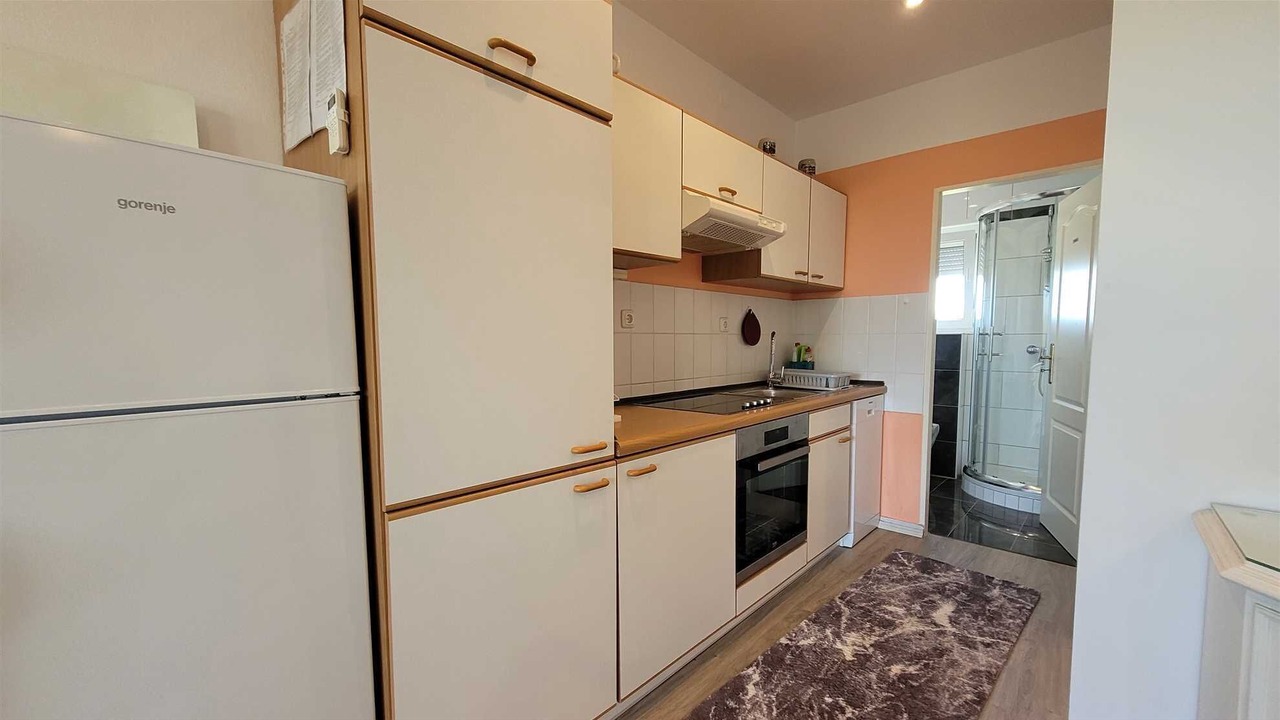 Photo of Kitchen in Milovcici