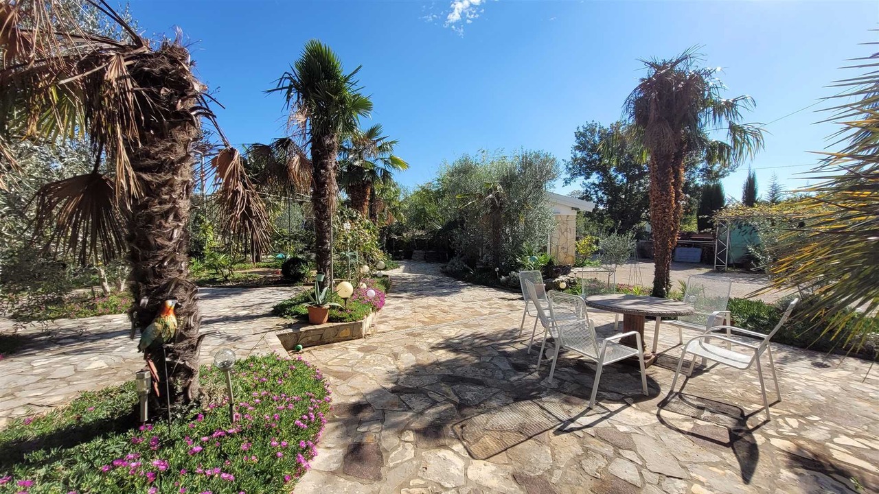 Photo of Outdoor in Milovcici
