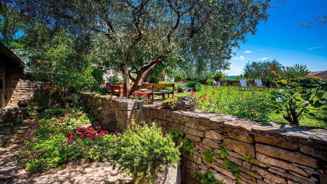 Photo of Outdoor in Buzet